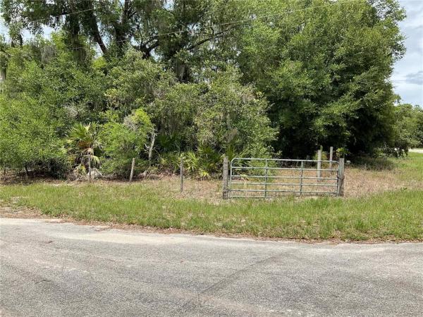 SILVER SPRINGS SHORES UNIT 31