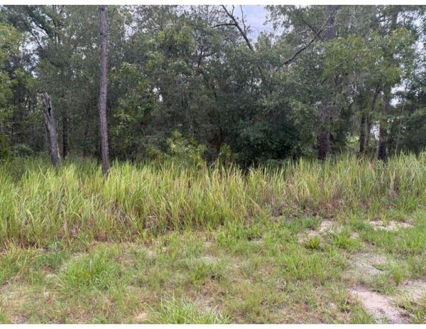 SILVER SPGS SHORES UN 33