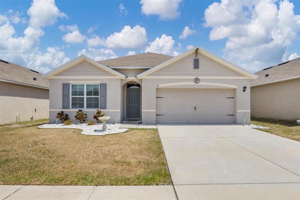 SQUIRES GROVE - фото