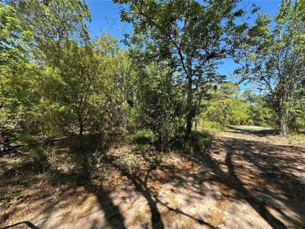 POINCIANA NBRHD 06 SOUTH VILLAGE 03