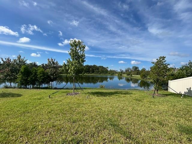 Single Family - фото