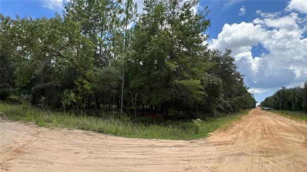 INTERLACHEN LAKES ESTATES