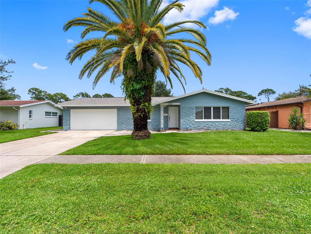 COLLEGE HILL PARK - фото