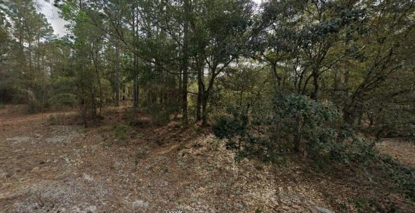 ORANGE BLOSSOM GARDENS