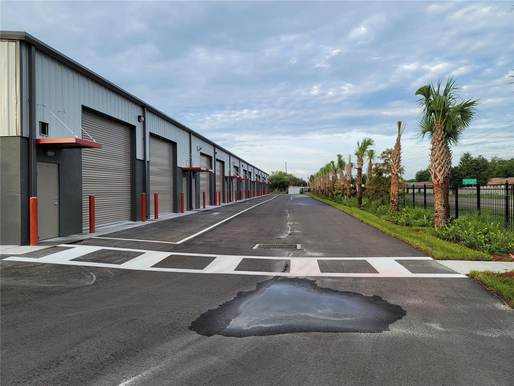 TAMPA TARPON SPGS LAND CO - фото