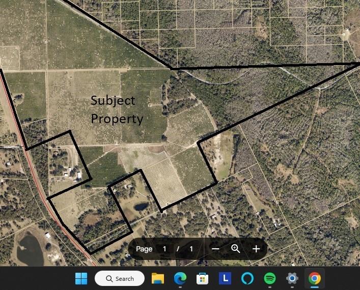 DOUGHERTY ARRENONDO GRANT - фото