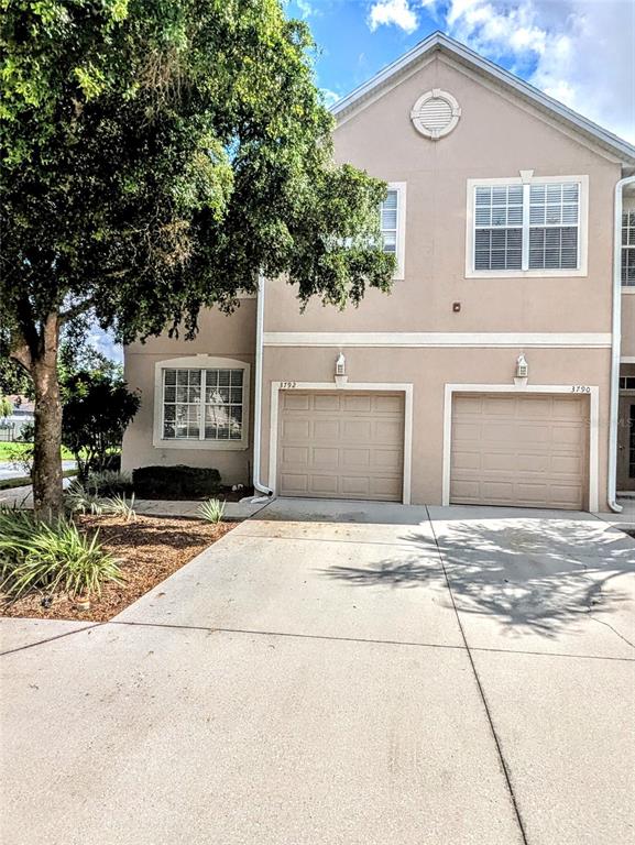 PARKSTONE - фото