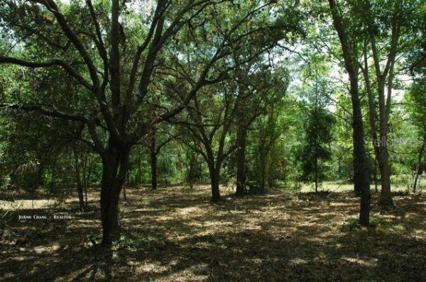 FLORIDA NATURIST PARK