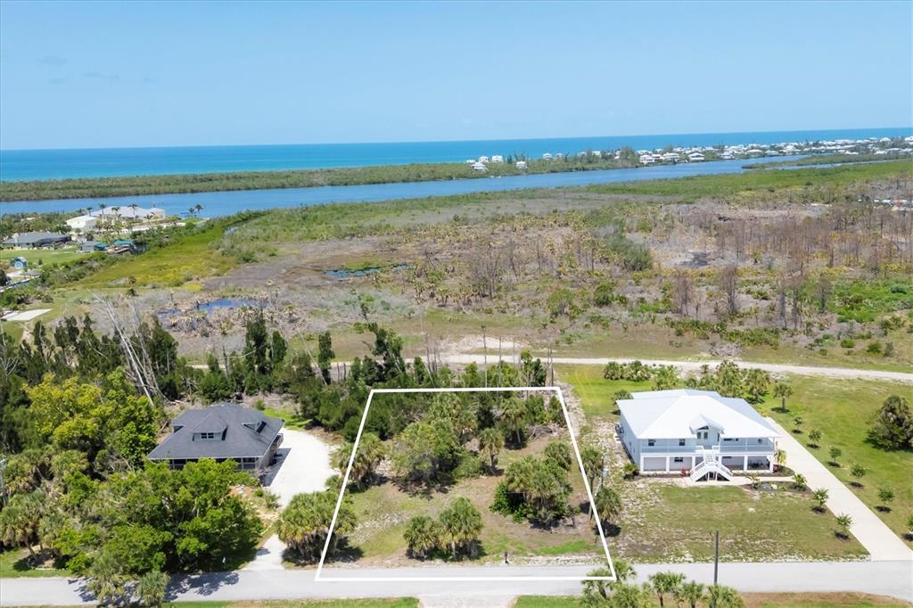 CAPE HAZE - фото