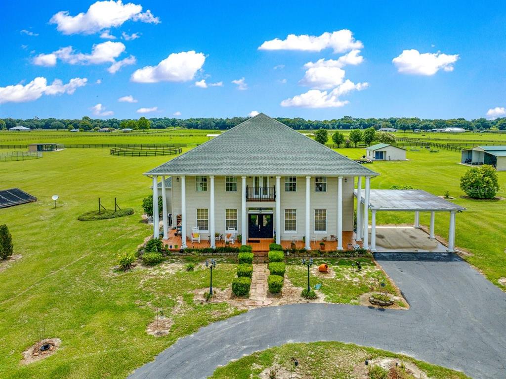 WINNERS TURF - фото