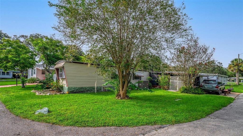 DORA PINES SUB - фото