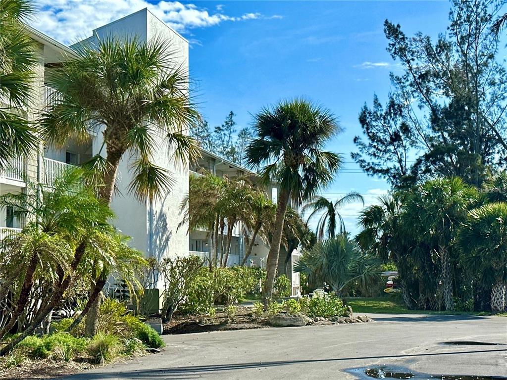 LEMON BAY BREEZES PH 01 - фото