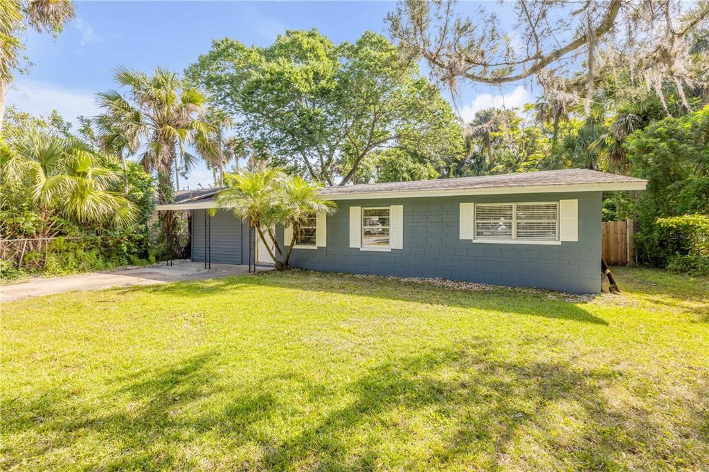 POINTER 01 - фото