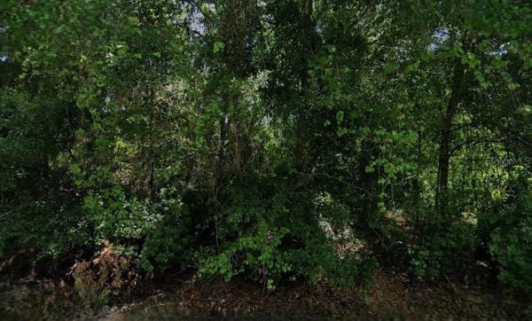 ORANGE BLOSSOM ESTATE