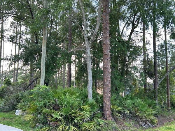 DAYTONA PARK ESTATES SEC B