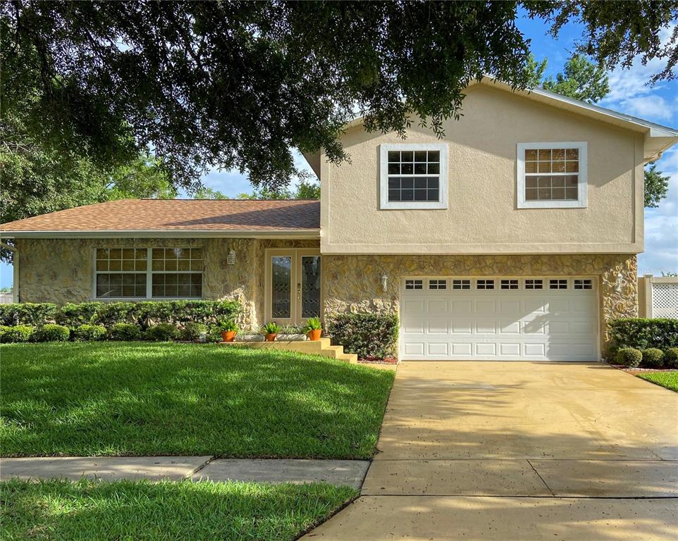 PEPPERTREE - фото