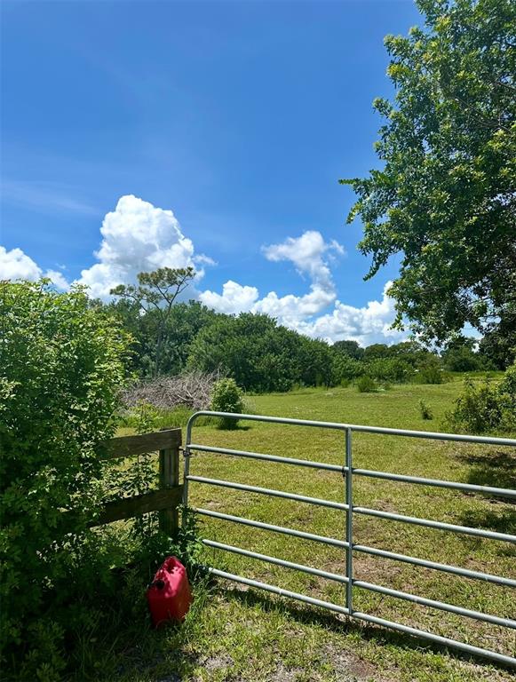 GRIFFIS ESTATES - фото