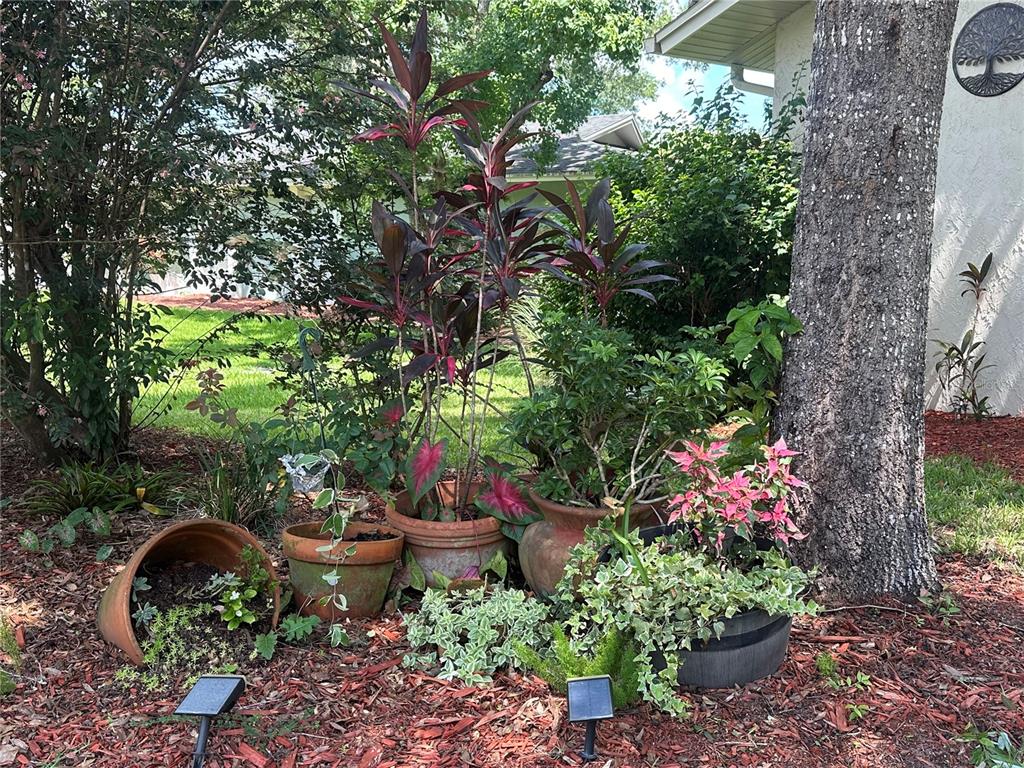 SABAL POINT AMD - фото