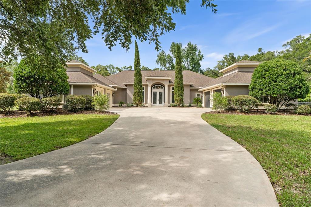 DALTON PINES - фото