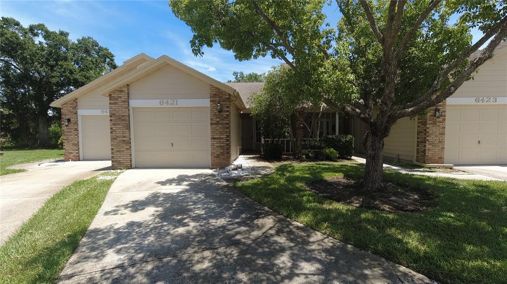 BRIAR PATCH - фото