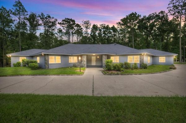 RAINBOW SPRINGS THE FOREST