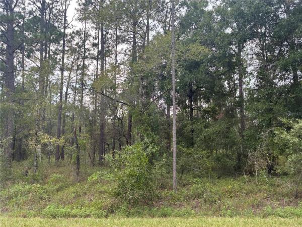 RAINBOW LAKES ESTATE