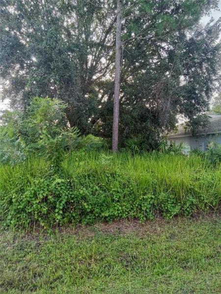 POINCIANA VILLAGE 1 NBHD 1 SOUTH