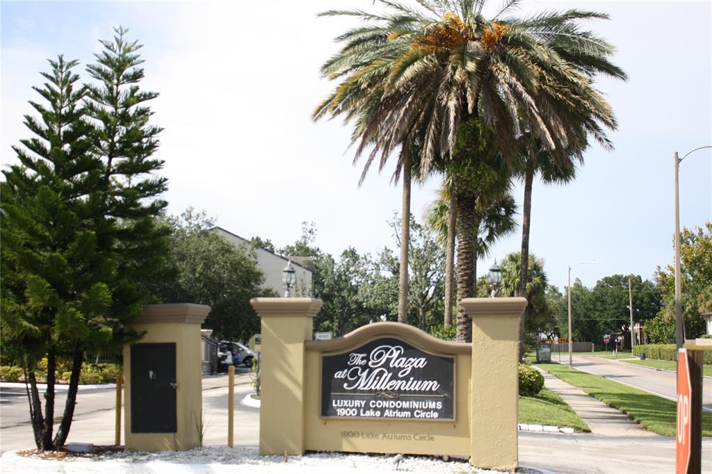 PLAZA/MILLENIUM - фото