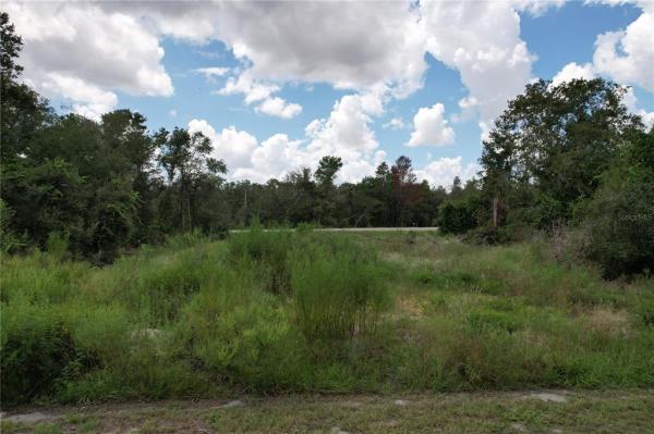 POINCIANA NBRHD 02 WEST VILLAGE 07