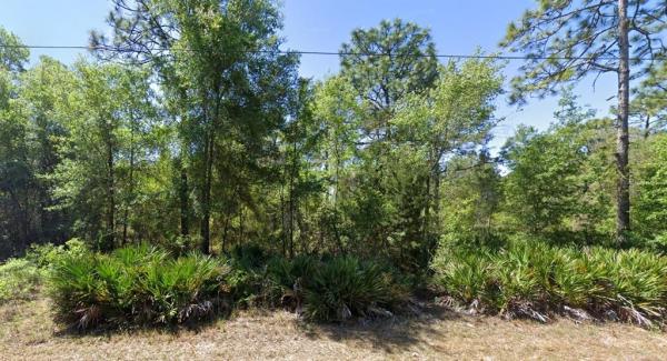 NEW HOMOSASSA VILLAGE