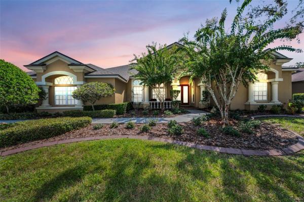 GREY HAWK AT LAKE POLO