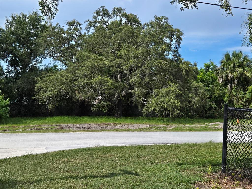 LEWIS SARAH J SUB - фото