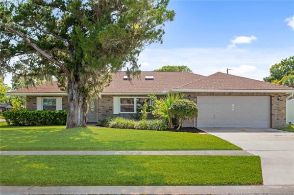 BIG TREE VILLAGE PH 03