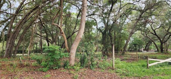 ORANGE CITY DELAND FARMS