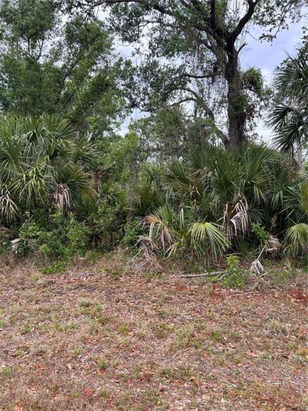 PORT CHARLOTTE SEC 024