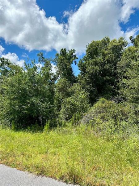 PORT CHARLOTTE SUB 14 REP