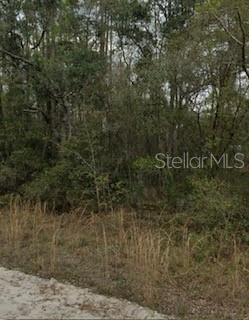 INTERLACHEN LAKES ESTS