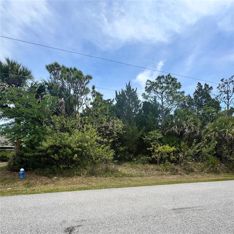 PALM COAST SEC 04 - фото