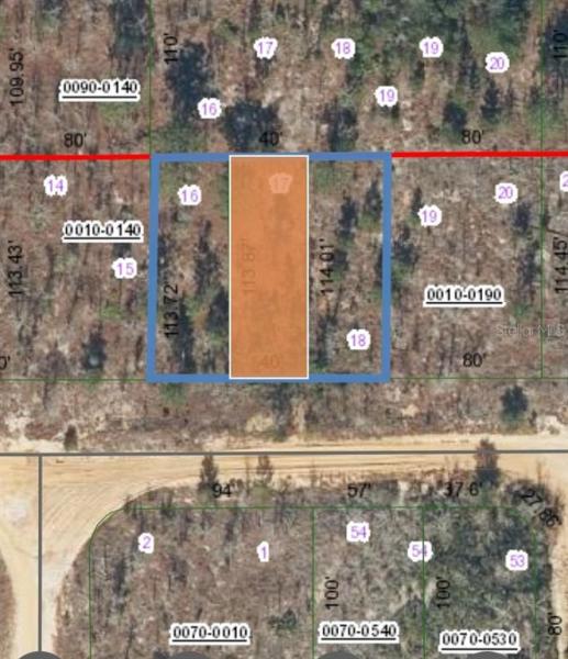 ORANGE BLOSSOM MANOR