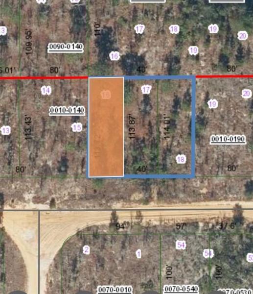 ORANGE BLOSSOM MANOR