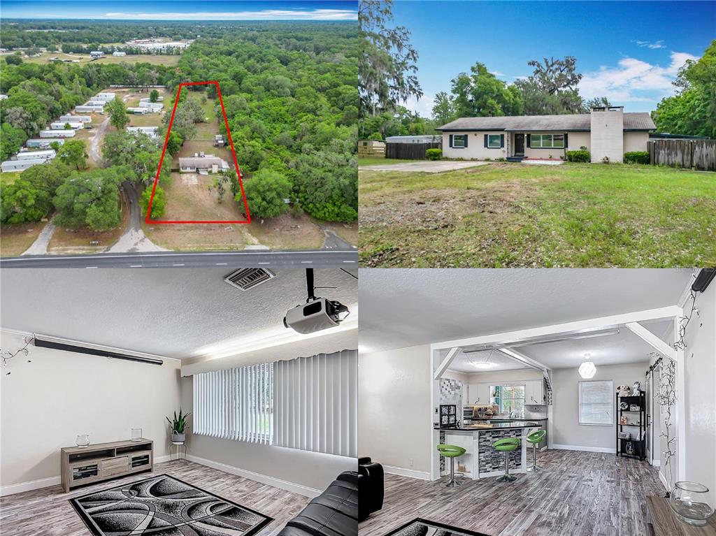 BELLEVIEW - фото