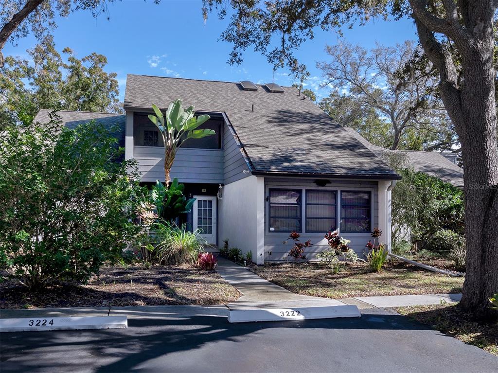 EAGLE CHASE - фото