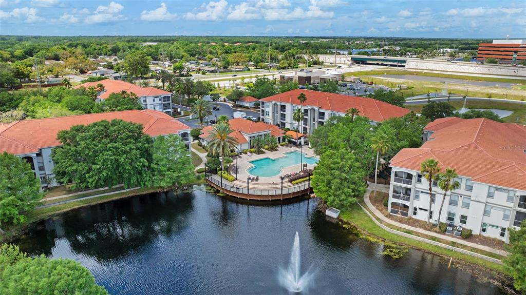 BELLA TERRA - фото