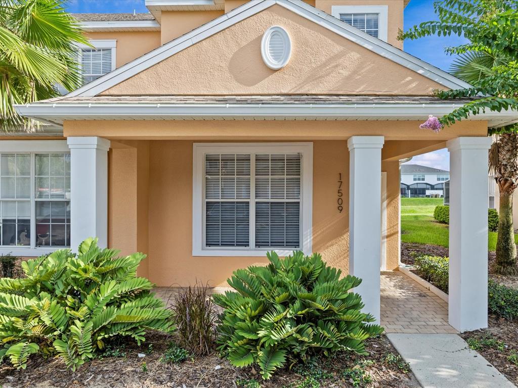 HIDDEN FOREST AT SILVER CREEK - фото