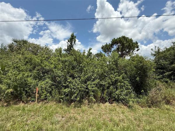 PORT CHARLOTTE SUB 25