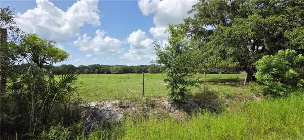 SOUTHERN COLONIZATION CO