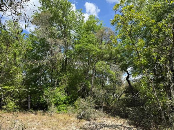 RAINBOW LAKES ESTATE