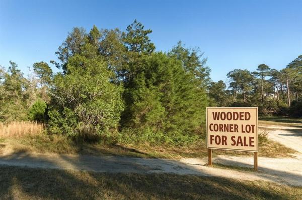 OCALA NATIONAL FOREST CAMPSITES