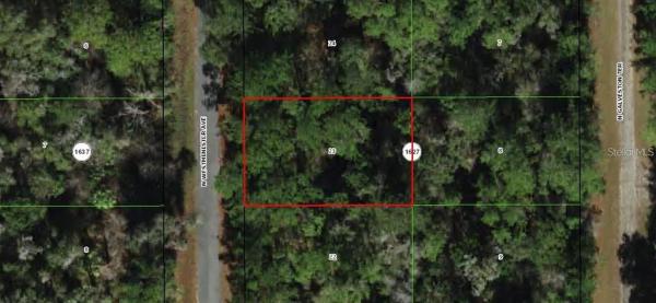 CITRUS SPRINGS UNIT 26