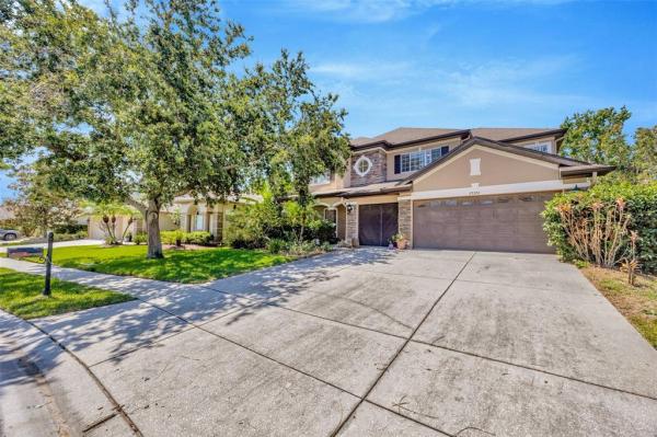 PLANTATION PALMS PH 05